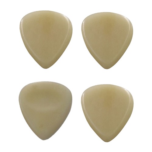 Bone guitar finger picks - guitar,